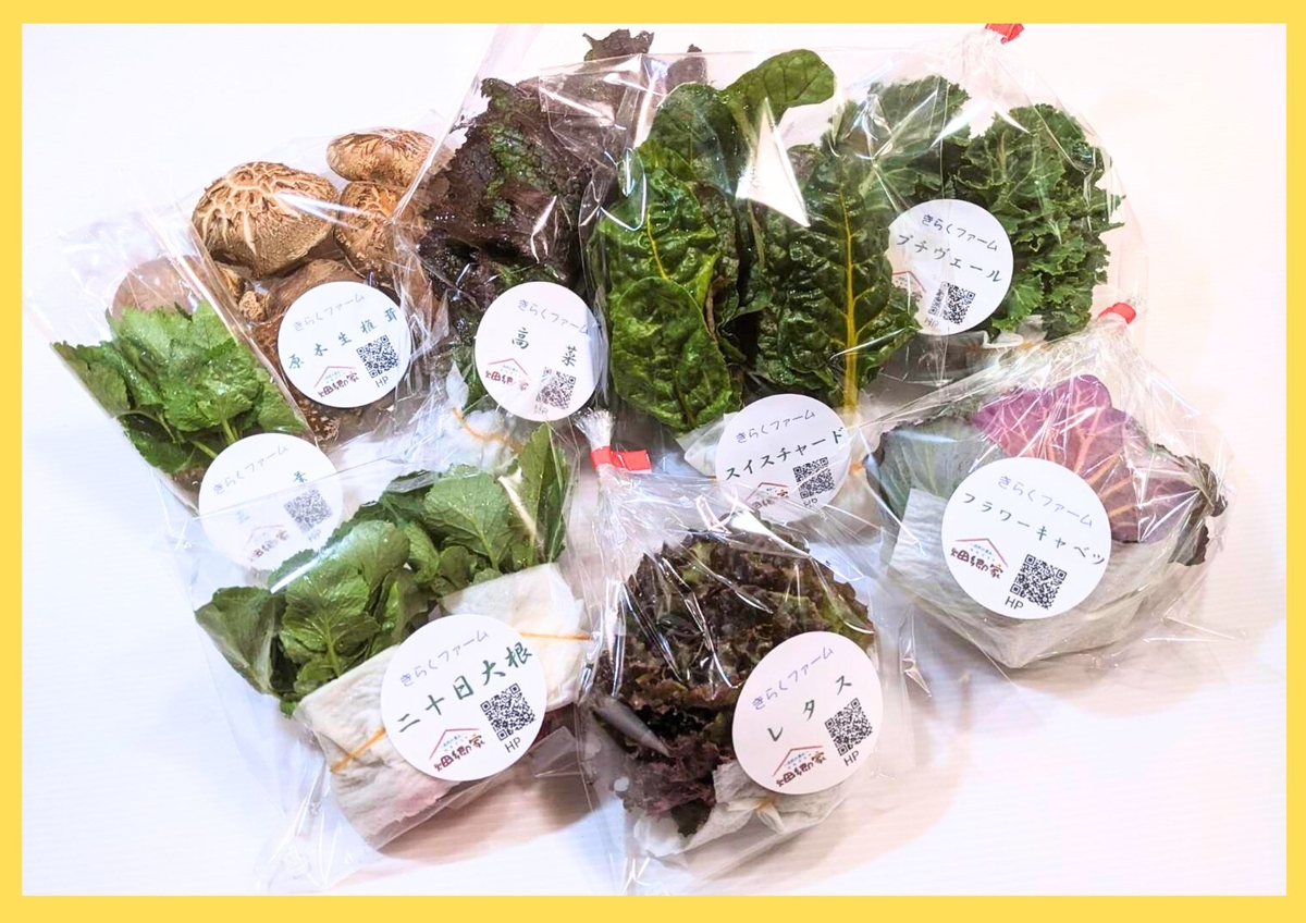 畑郷家 きらくファーム 無農薬・化学肥料不使用の野菜セット