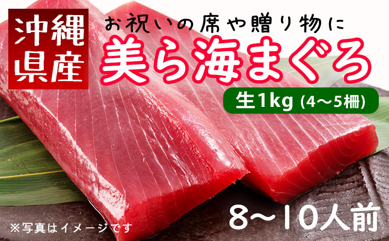 鮪人厳選！「美ら海まぐろ（生）」の柵 500g | 三高オンラインショップ
