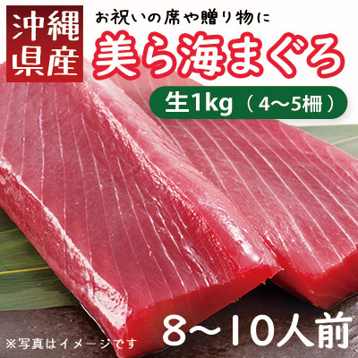 鮪人厳選！「美ら海まぐろ（生）」の柵 1kg | 三高オンラインショップ