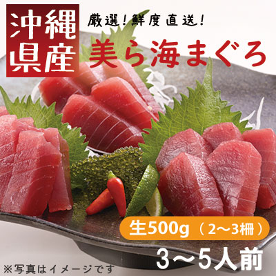 鮪人厳選！「美ら海まぐろ（生）」の柵 500g | 三高オンラインショップ