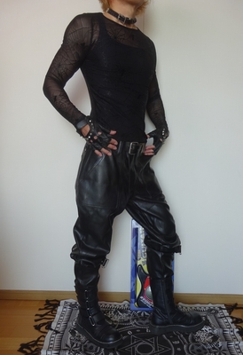 メッシュ カットソー 蜘蛛の巣 スパイダー柄 メンズ ユニセックス ヴィジュアル系 ビジュアル系 超スリム ｖ系バンド ゴシックファッション パンクファッション インポート スーパータイトフィット ｖ系レザーカンパニー