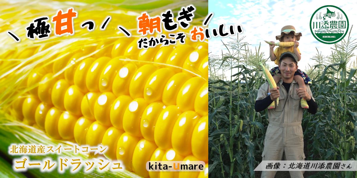 とうもろこし受付ページ