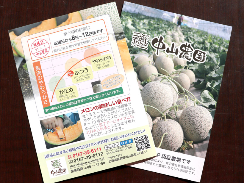 富良野メロン（L・2Lサイズ）2玉入【中山農園】の通販_産地