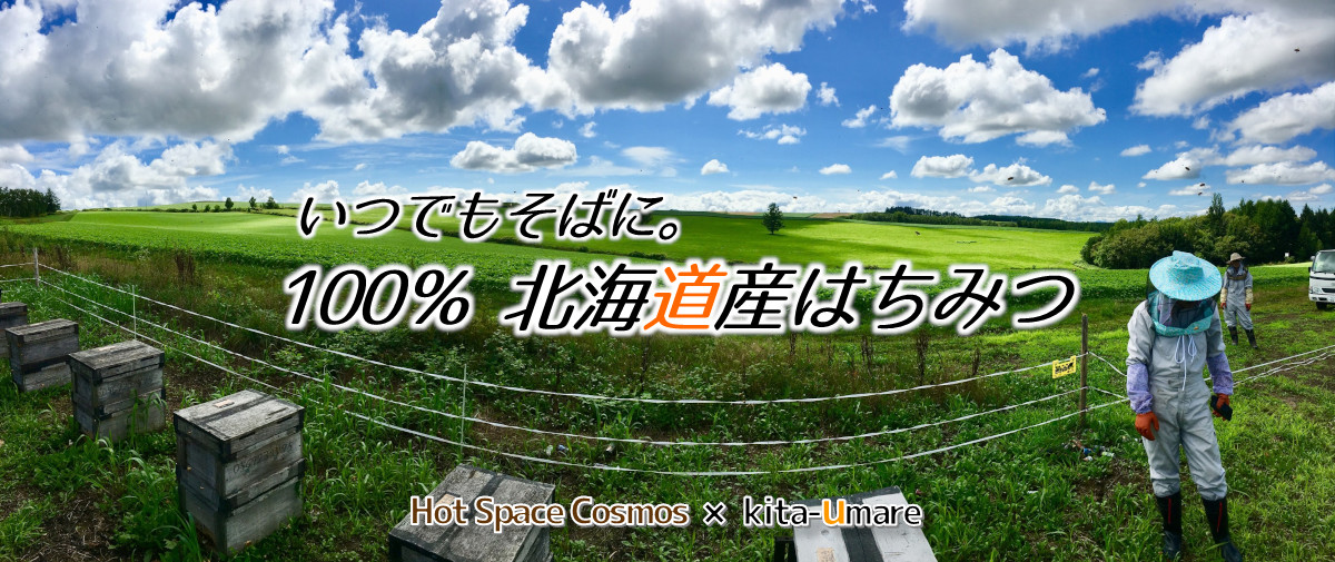 北海道産らくらく蜂蜜【百花蜜】300gパウチの産地直送_お