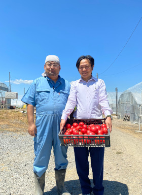 季節限定！北海道産大玉トマト約3．8kg「麗月」の産地直送_通販_お