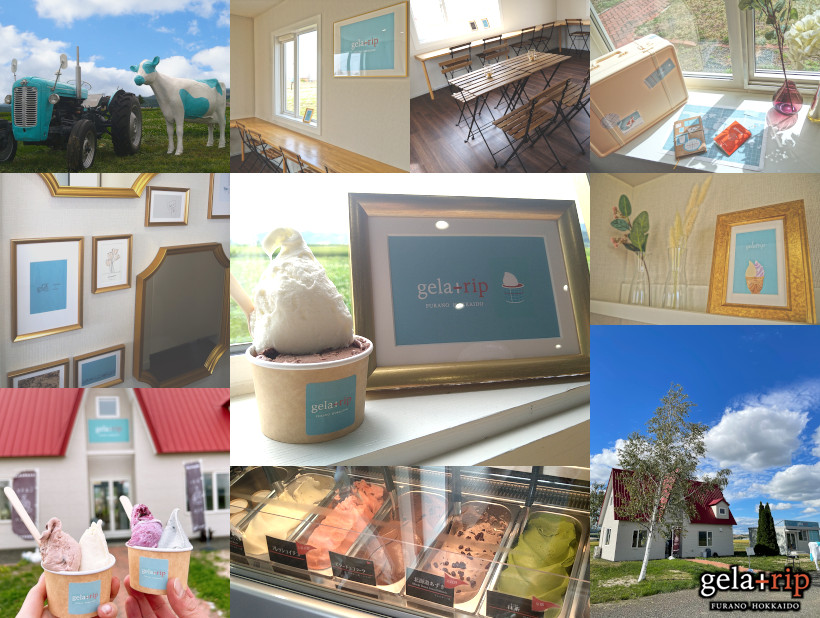 北海道産ジャージーミルク100%ジェラート_gelatrip's selection