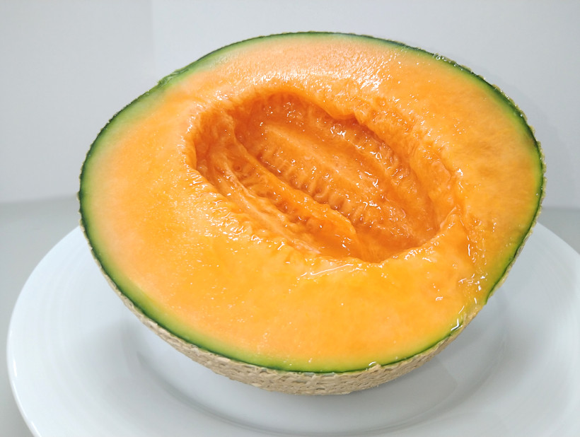 富良野メロン（L・2Lサイズ）2玉入【中山農園】の通販_産地直送_