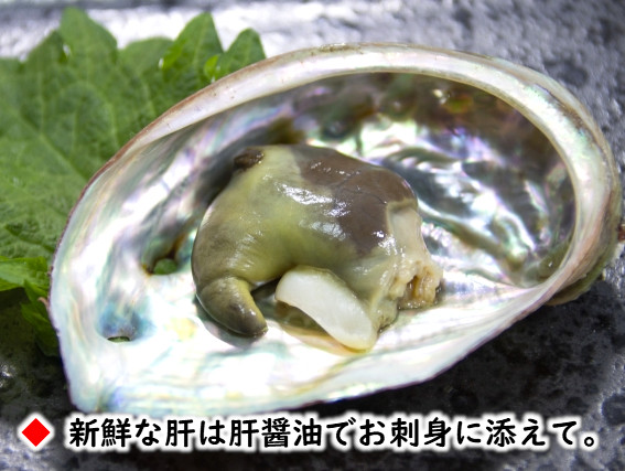 期間限定・生きたまま届く！天然活蝦夷あわび北海道松前産の産地直送