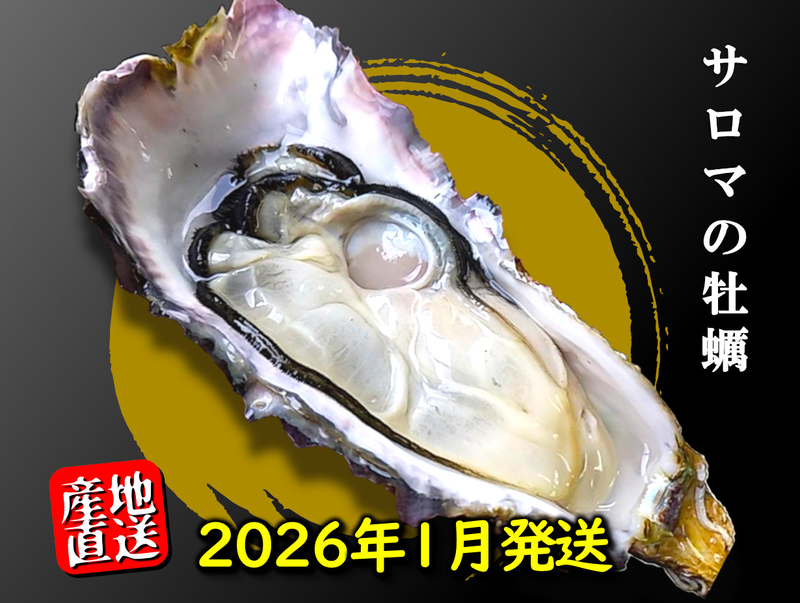 北海道サロマ湖産牡蠣