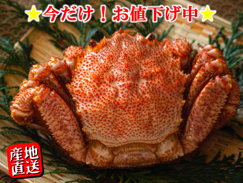 北海道雄武産毛ガニ450g(ﾎﾞｲﾙ/冷凍)