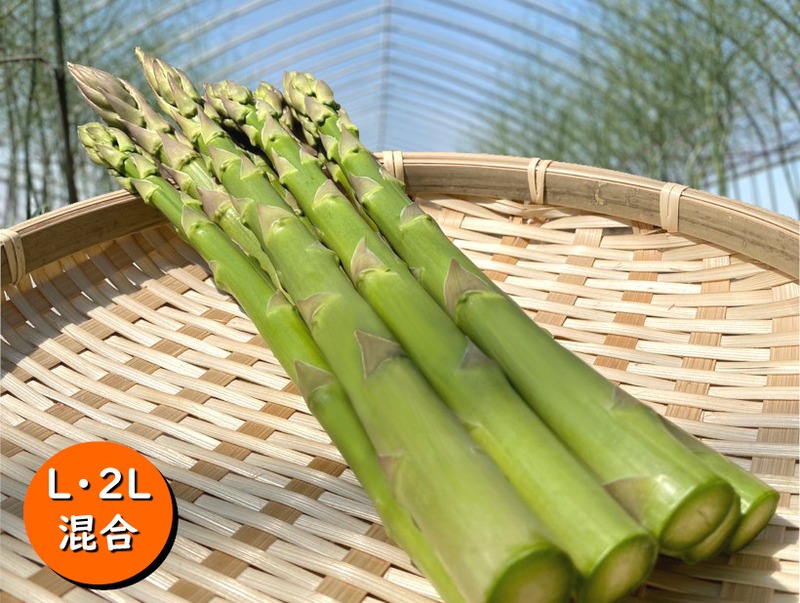 北海道旭川産グリーンアスパラ