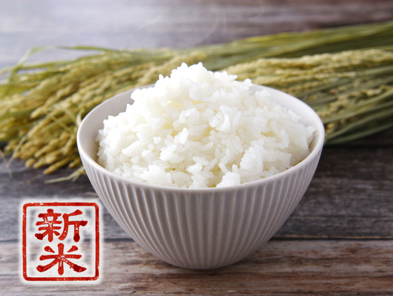 特別栽培米ななつぼし【北海道旭川産】5kg