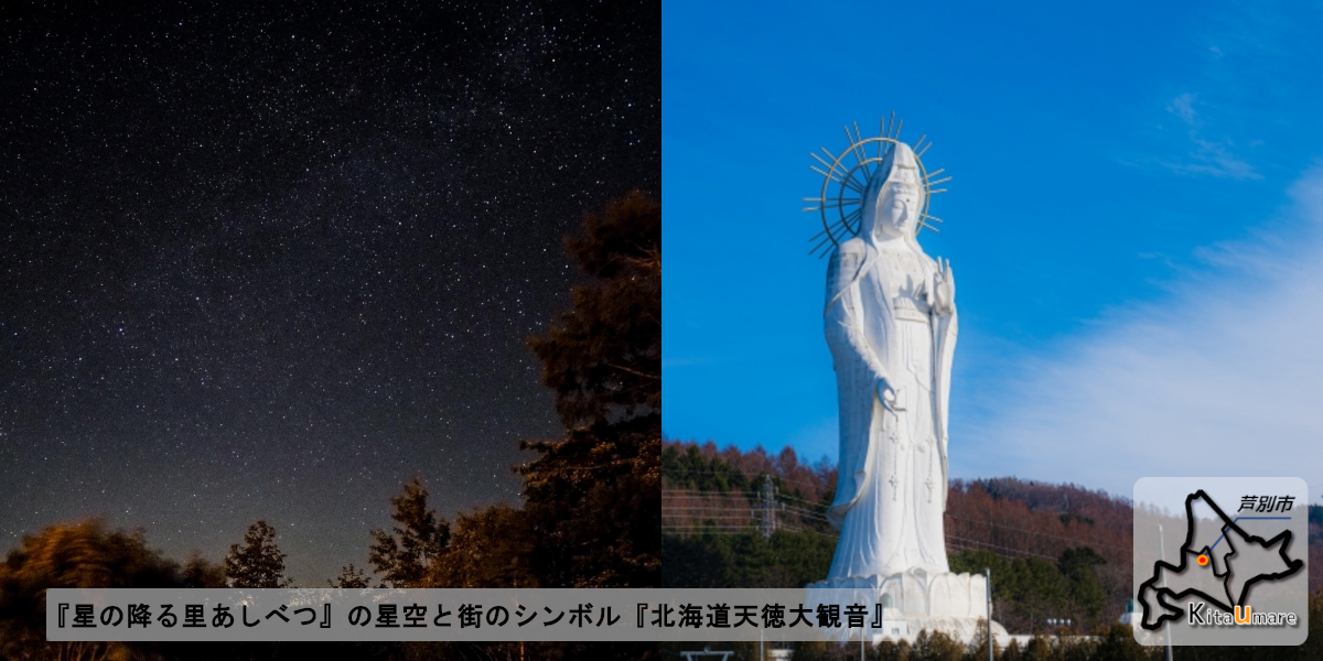 大橋さくらんぼ園】冷凍さくらんぼ ミックス（軸なし）の産地