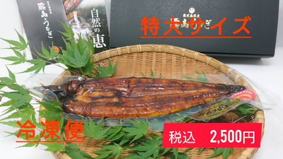 【冷凍】RT蒲焼き　特　大　【190ｇ以上】