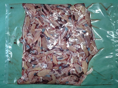 【業務用】送料込み　うなぎの肝　合計10㎏　無処理　冷凍　真空　(1kg～500g/1パック)