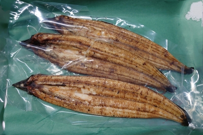 【特別販売】白焼き　165～179ｇ/1尾（真空・冷凍）　