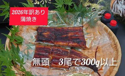 【2026年訳あり】冷凍　ちょっと身が薄い　3尾で300ｇ以上　ご自宅用