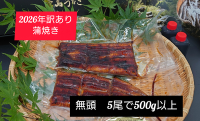 【2026年訳あり】冷凍　ちょっと身が薄い　5尾で500ｇ以上　ご自宅用
