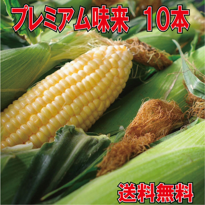 ﾌﾟﾚﾐｱﾑ味来2Lサイズ