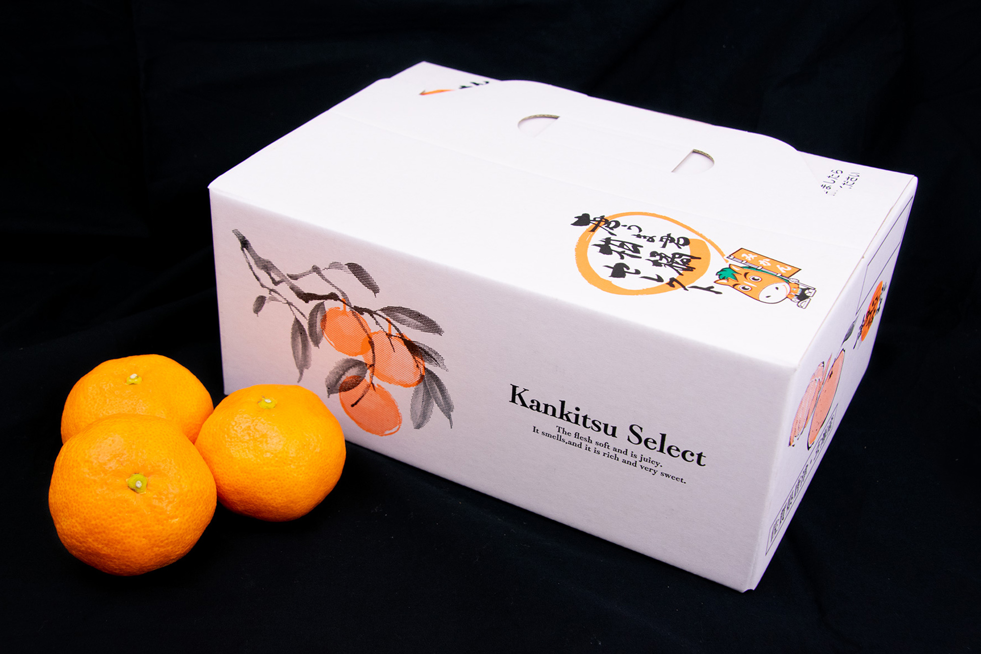 温室ミカン／2kg（セレクトバラ箱／送料込み） | 唐津うまかもん市場
