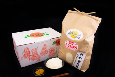 令和5年度産】【特別栽培米】唐津産 さがびより（白米4.5kg