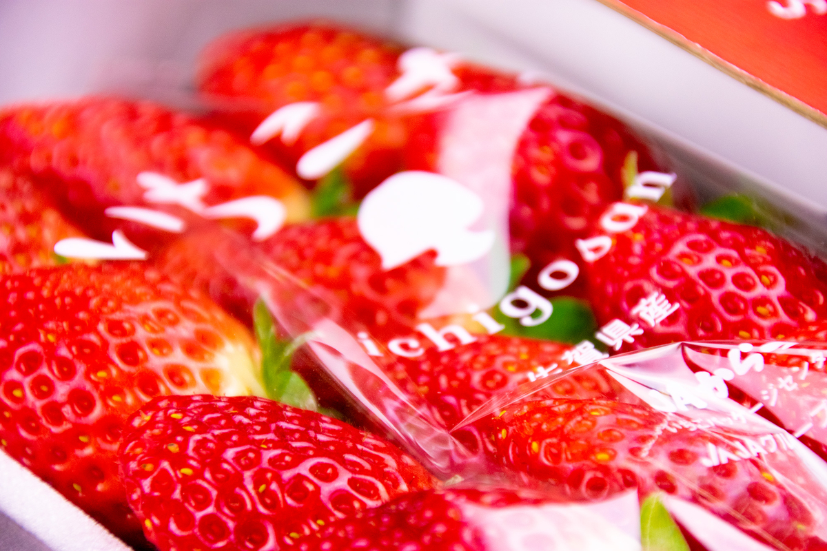 いちごさん（約450g／送料込み） | 唐津うまかもん市場