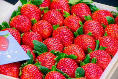 果物 | 唐津うまかもん市場