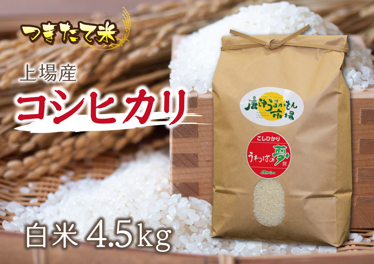 令和6年　香川県産　コシヒカリ(玄米) 令和6年度香川県産コシヒカリ 玄米30キロ 送料込