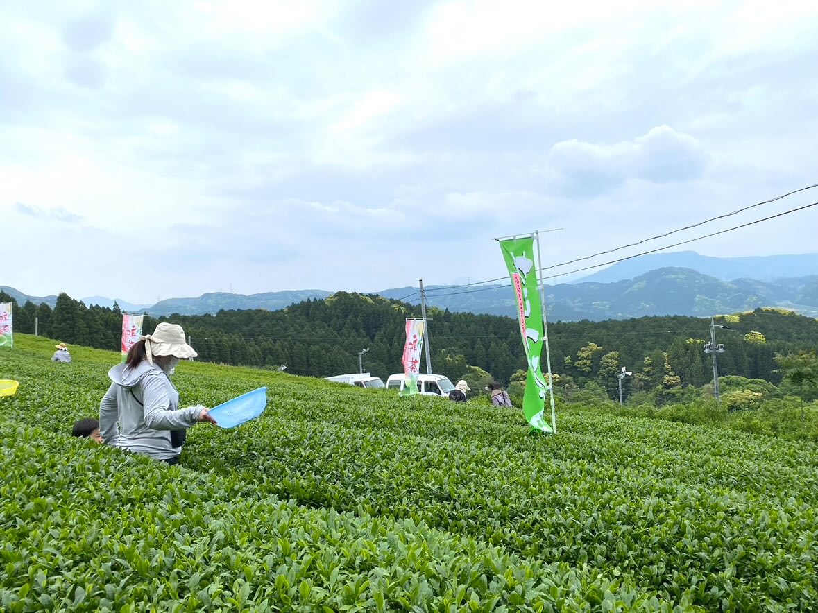 厳選からつ茶セット／送料込 | 唐津うまかもん市場