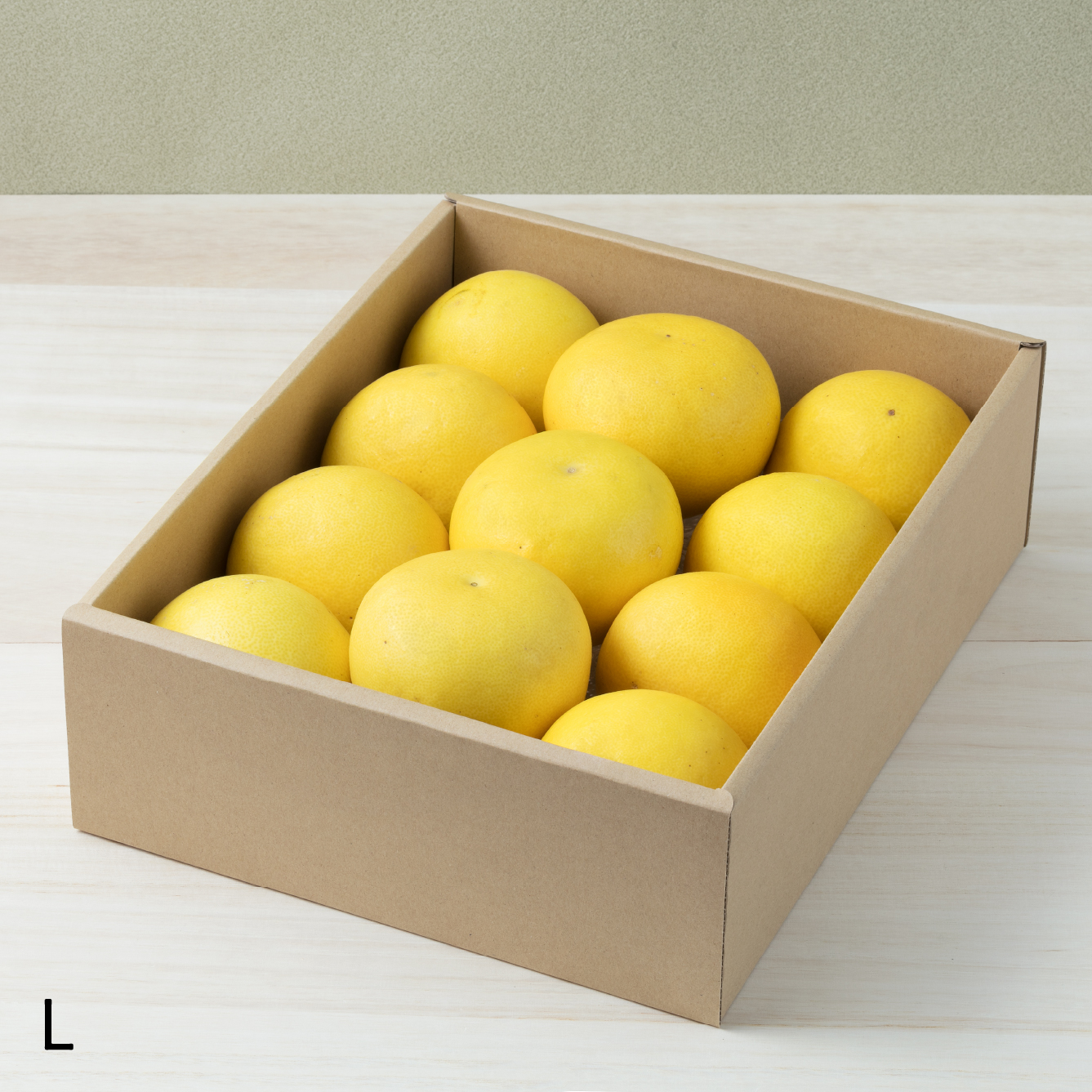 甲【L】ムッキーセット | TAMURAKAJUEN