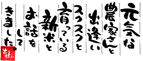 元気な農家さんと出逢いスクスクと育っている新米とお話しをしてきました。