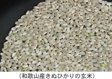和歌山産きぬひかりの玄米