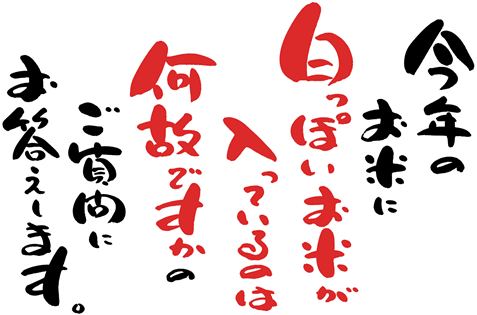 今年のお米に白っぽいお米が入っているのは何故ですかのご質問にお答えします。