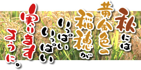 秋には黄金色の稲穂がいっぱいいっぱい実りますように。