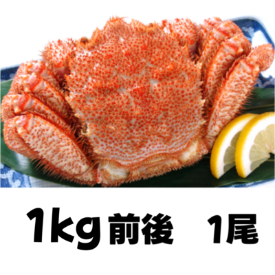 【021】冷凍ボイル毛がに（1㎏前後）1尾