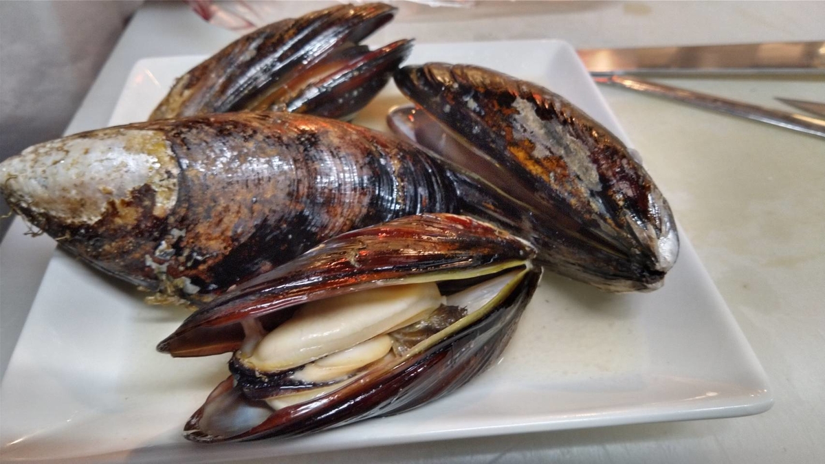 ムール貝 イガイ 岡山産 3 加熱用 寄島漁協 ｃｏｍ