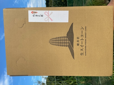 軽井沢生スィートコーン　8本入り　熨斗付き（残暑見舞）