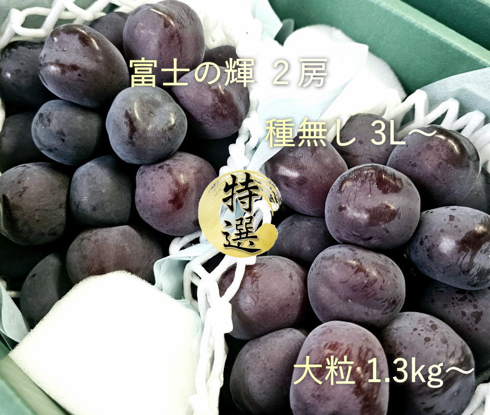 富士の輝き ぶどう 2房セット 富士の輝、シャインマスカット2房セット【1.4kg以上】 | 石原
