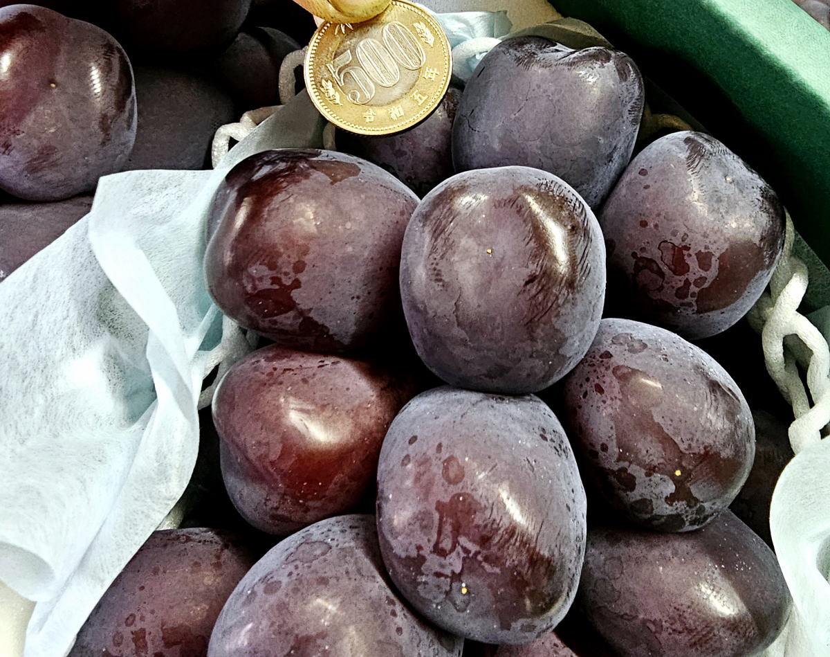 富士の輝き ぶどう 2房セット 富士の輝 ブラックシャインマスカット 葡萄 約800g〜1kg 2房入り