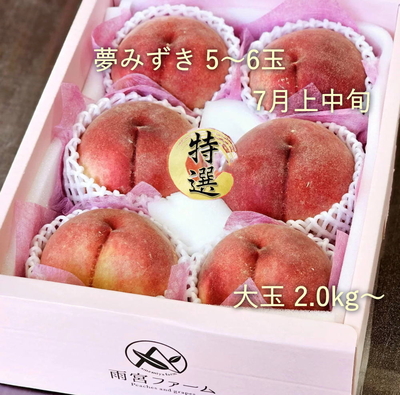 特選夢みずき2kg
