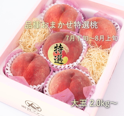 お任せ特選桃2kg 