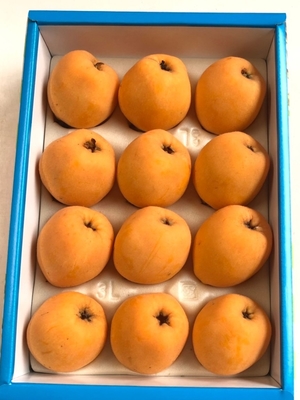3Lサイズ（12個入）&times;3箱