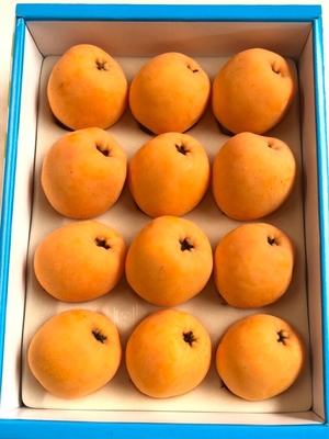 4Lサイズ（12個入）&times;2箱