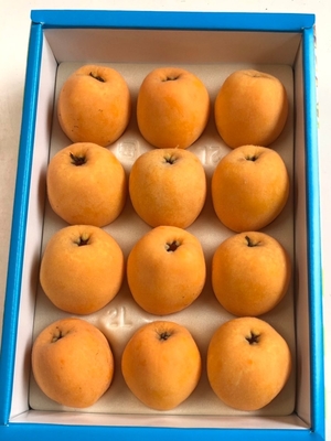 2Lサイズ（12個入）&times;4箱