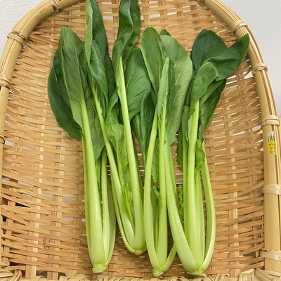 鹿児島県産　有機無農薬小松菜