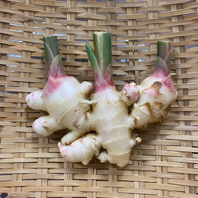 沖縄県産 農薬・化学肥料不使用 新生姜 180g