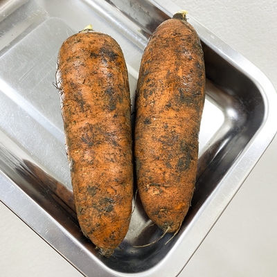 北海道産　有機無農薬人参　400g