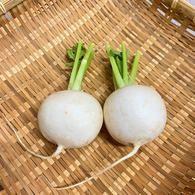 淡路島産　野田さん　農薬・化学肥料不使用　かぶ　300g