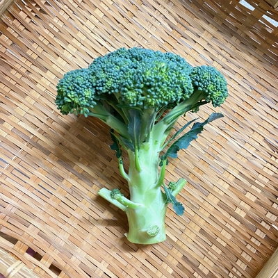 淡路島産　野田さん　農薬・化学肥料不使用　ブロッコリー