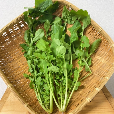  淡路島産　野田さん　農薬・化学肥料不使用　ルッコラ